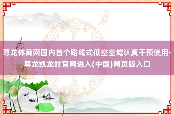 尊龙体育网国内首个路线式低空空域认真干预使用-尊龙凯龙时官网进入(中国)网页版入口