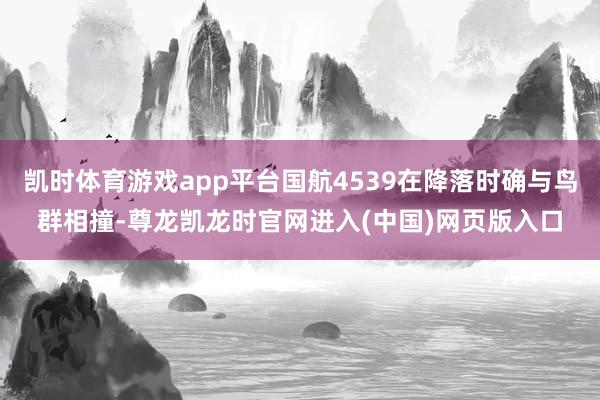 凯时体育游戏app平台国航4539在降落时确与鸟群相撞-尊龙凯龙时官网进入(中国)网页版入口