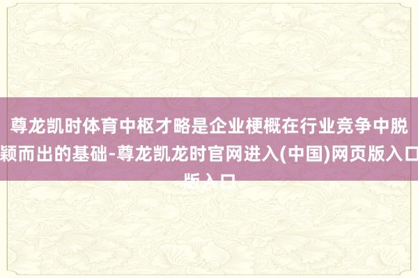 尊龙凯时体育中枢才略是企业梗概在行业竞争中脱颖而出的基础-尊龙凯龙时官网进入(中国)网页版入口