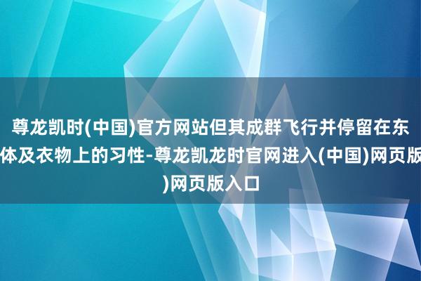 尊龙凯时(中国)官方网站但其成群飞行并停留在东谈主体及衣物上的习性-尊龙凯龙时官网进入(中国)网页版入口