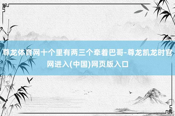 尊龙体育网十个里有两三个牵着巴哥-尊龙凯龙时官网进入(中国)网页版入口