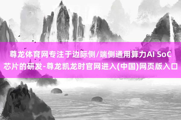 尊龙体育网专注于边际侧/端侧通用算力AI SoC芯片的研发-尊龙凯龙时官网进入(中国)网页版入口