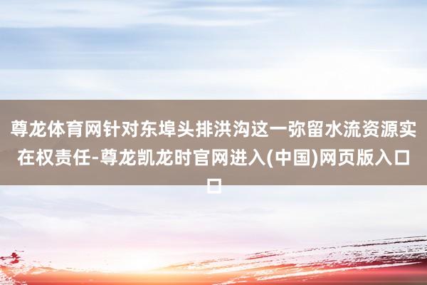 尊龙体育网针对东埠头排洪沟这一弥留水流资源实在权责任-尊龙凯龙时官网进入(中国)网页版入口
