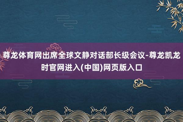 尊龙体育网出席全球文静对话部长级会议-尊龙凯龙时官网进入(中国)网页版入口