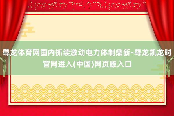 尊龙体育网国内抓续激动电力体制鼎新-尊龙凯龙时官网进入(中国)网页版入口