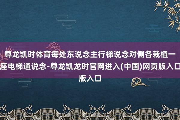 尊龙凯时体育每处东说念主行梯说念对侧各栽植一座电梯通说念-尊龙凯龙时官网进入(中国)网页版入口