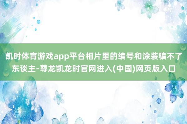 凯时体育游戏app平台相片里的编号和涂装骗不了东谈主-尊龙凯龙时官网进入(中国)网页版入口