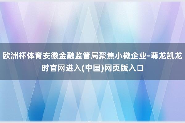 欧洲杯体育安徽金融监管局聚焦小微企业-尊龙凯龙时官网进入(中国)网页版入口